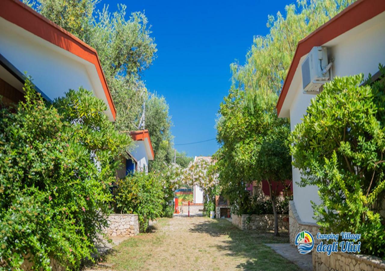 Camping Village Degli Ulivi มัตตีนาตา ภายนอก รูปภาพ