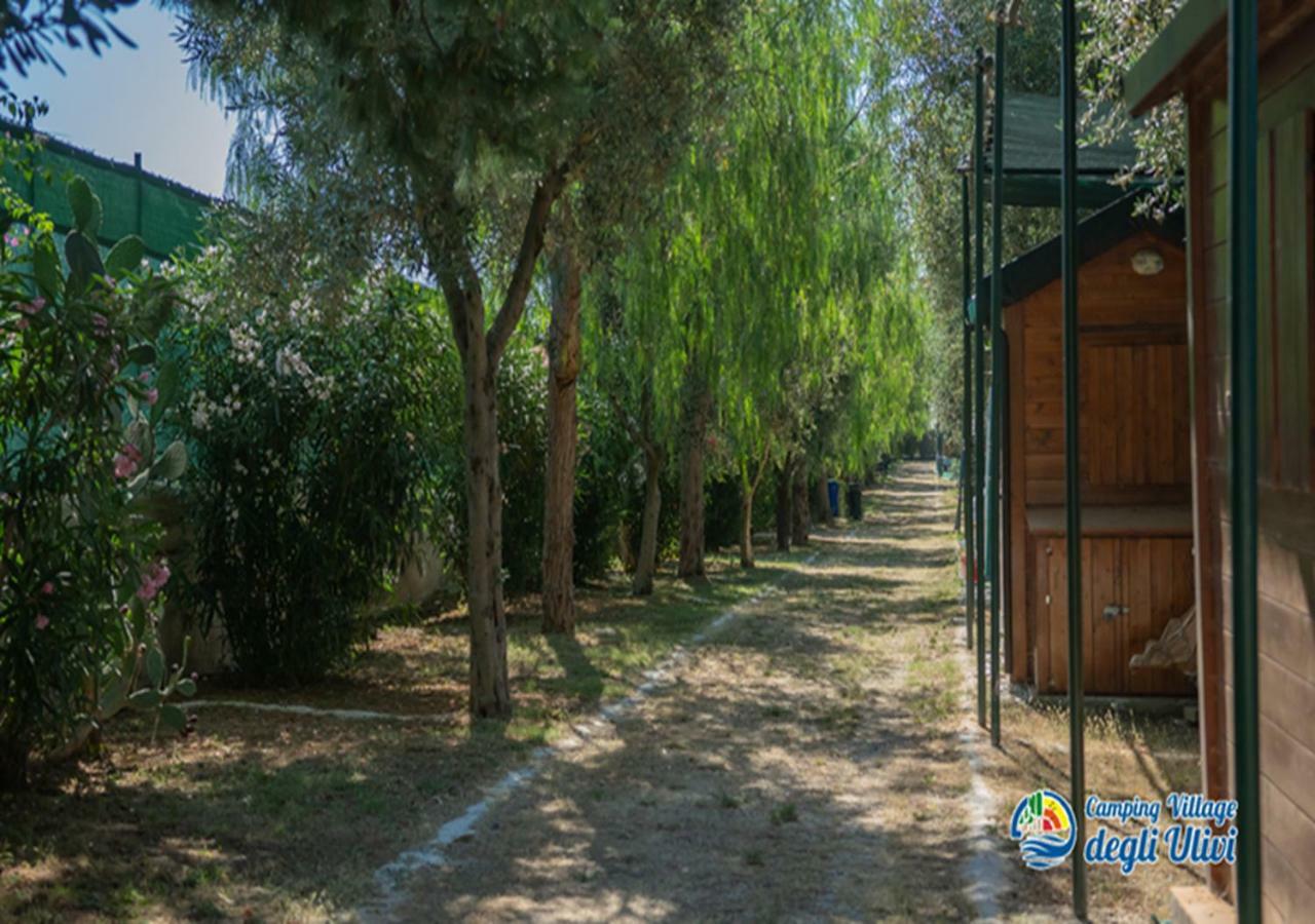 Camping Village Degli Ulivi มัตตีนาตา ภายนอก รูปภาพ